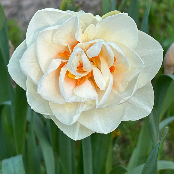 Meet your Posher - Picture 1 of 9